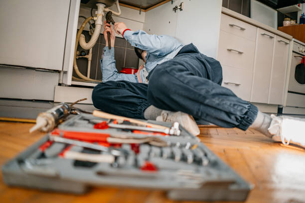Professional Plumbing in Lincoln, AL