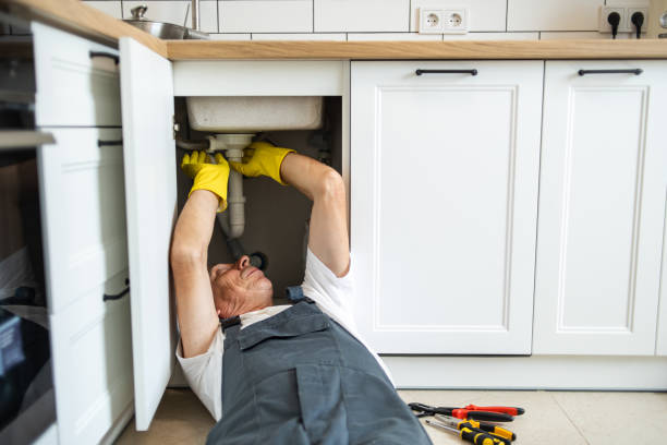 Best Septic Systems  in Lincoln, AL