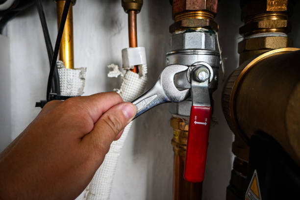 Best Clogged Drain Plumber  in Lincoln, AL